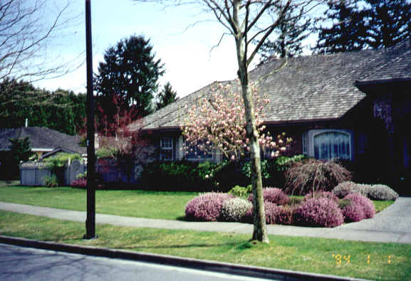 front.jpg (31545 bytes)