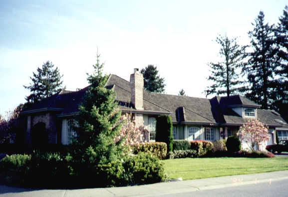 side.jpg (31909 bytes)