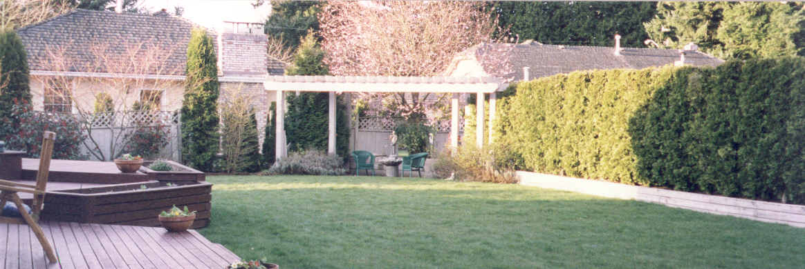 waback.jpg (21619 bytes)